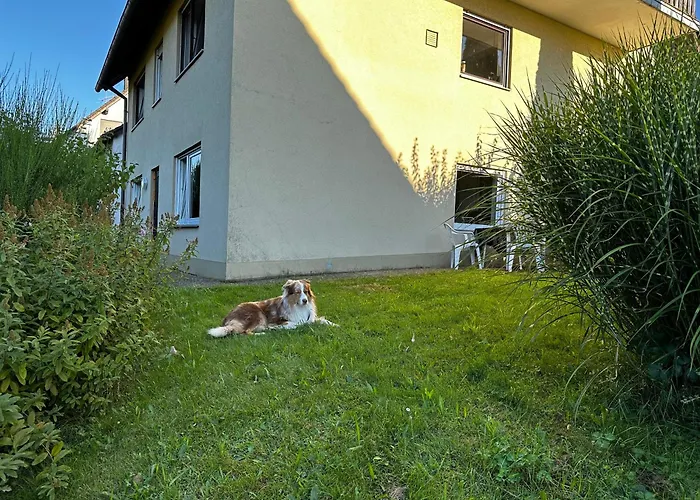 Am Romberg Lejlighed Lohr